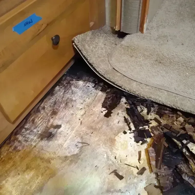 Wood Floor Water Damage in Madison, MN